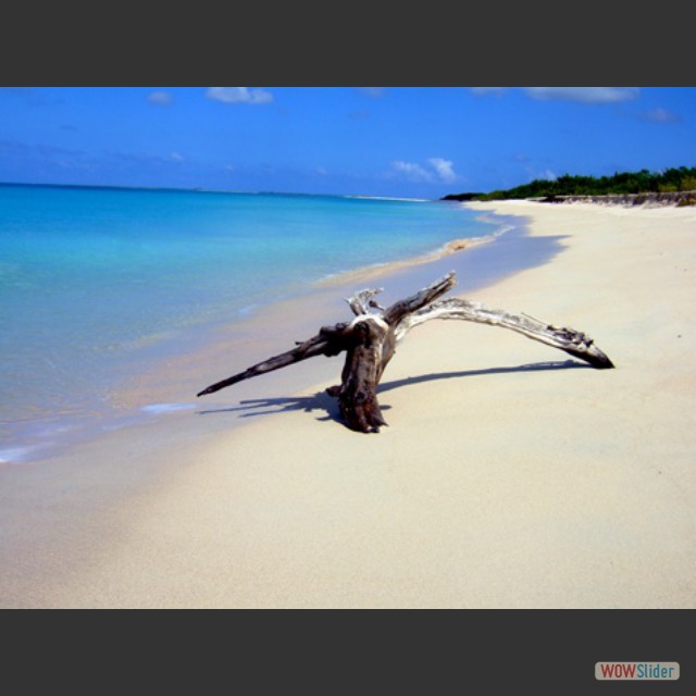 Barbuda-beach058
