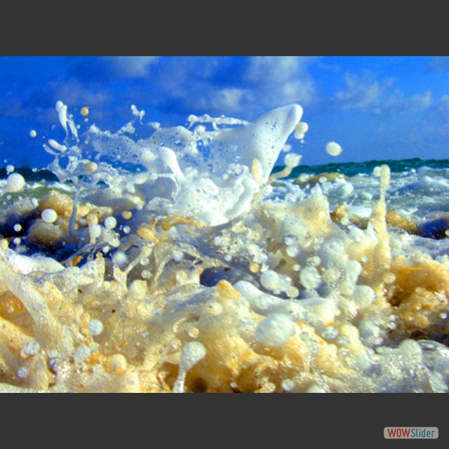 Barbuda-beach waves002