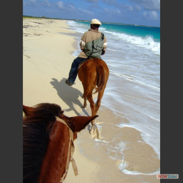 Barbuda-horseback ridi0041